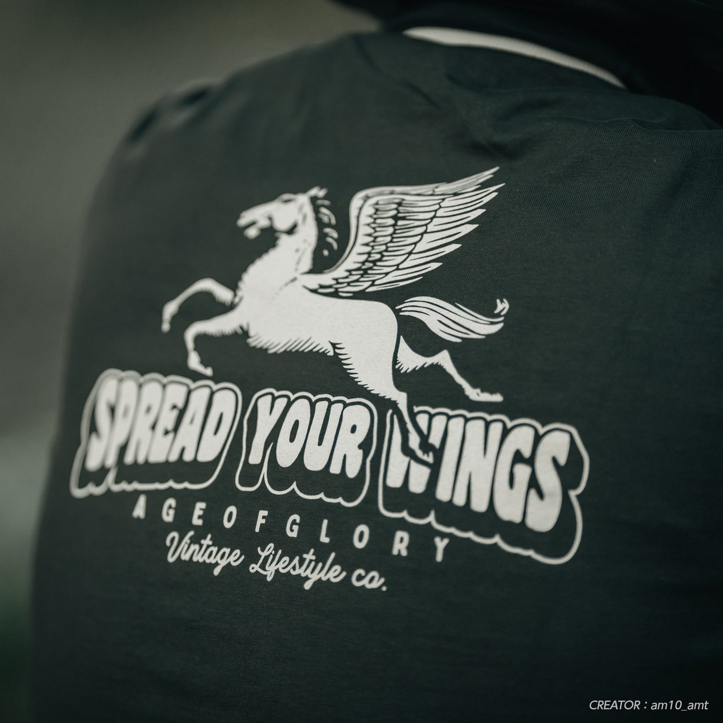 ペガサス ウォッシュブラック/エクリュ